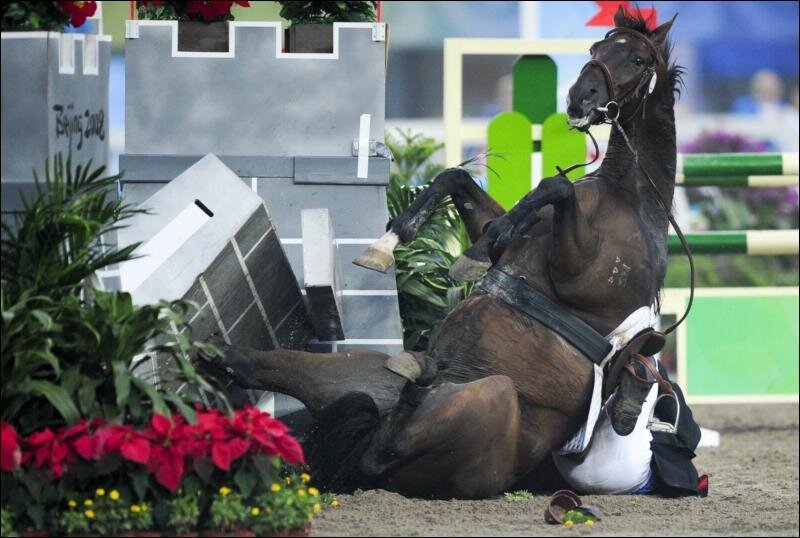 Фото с открытых источников Интернета