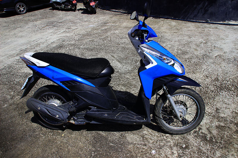 Маленький мул