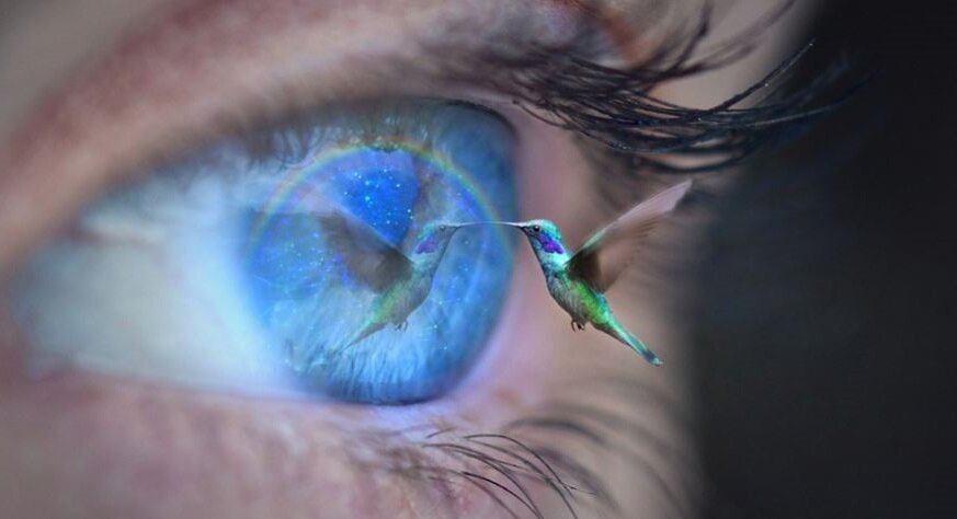 Колибри является одной их самых красивых птиц на земле и символизирует наслаждение жизнью