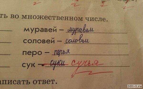 Источник: 031-1.ru