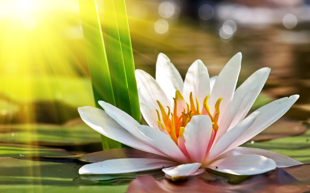 Источник изображения: billionnews.ru