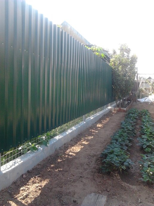 Мешающая клубника, которая заливает весь их двор.