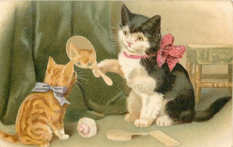 "Это ты, полюбуйся на себя!"