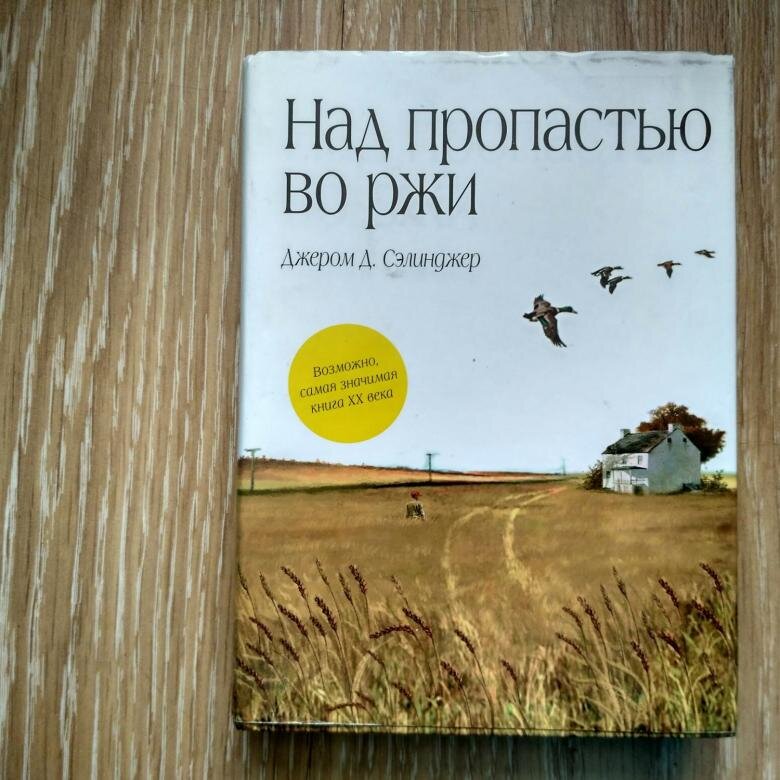 Во ржи книга краткое содержание