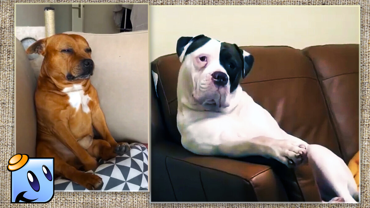 Взгляды понятные без слов.