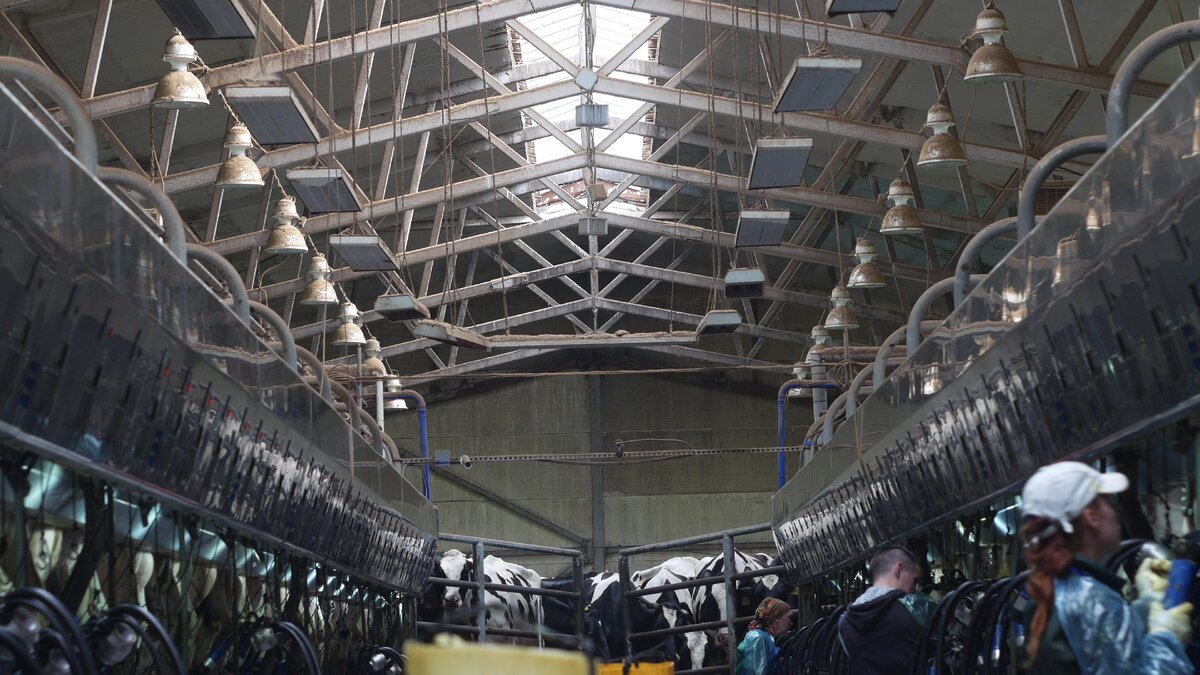 Персонал на молочной ферме