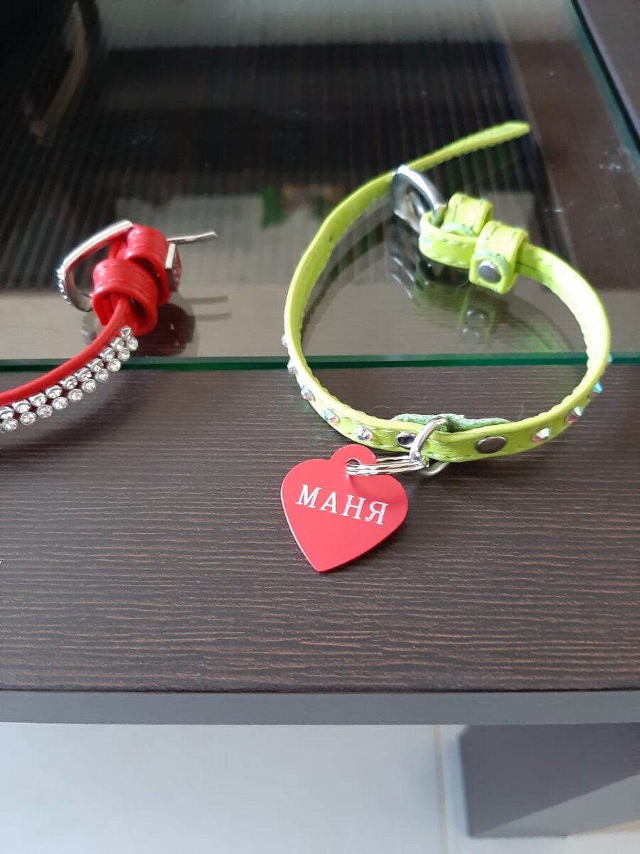 У Манюши теперь есть даже именной ошейник