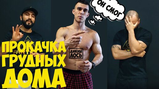 Дикий лось программа тренировок