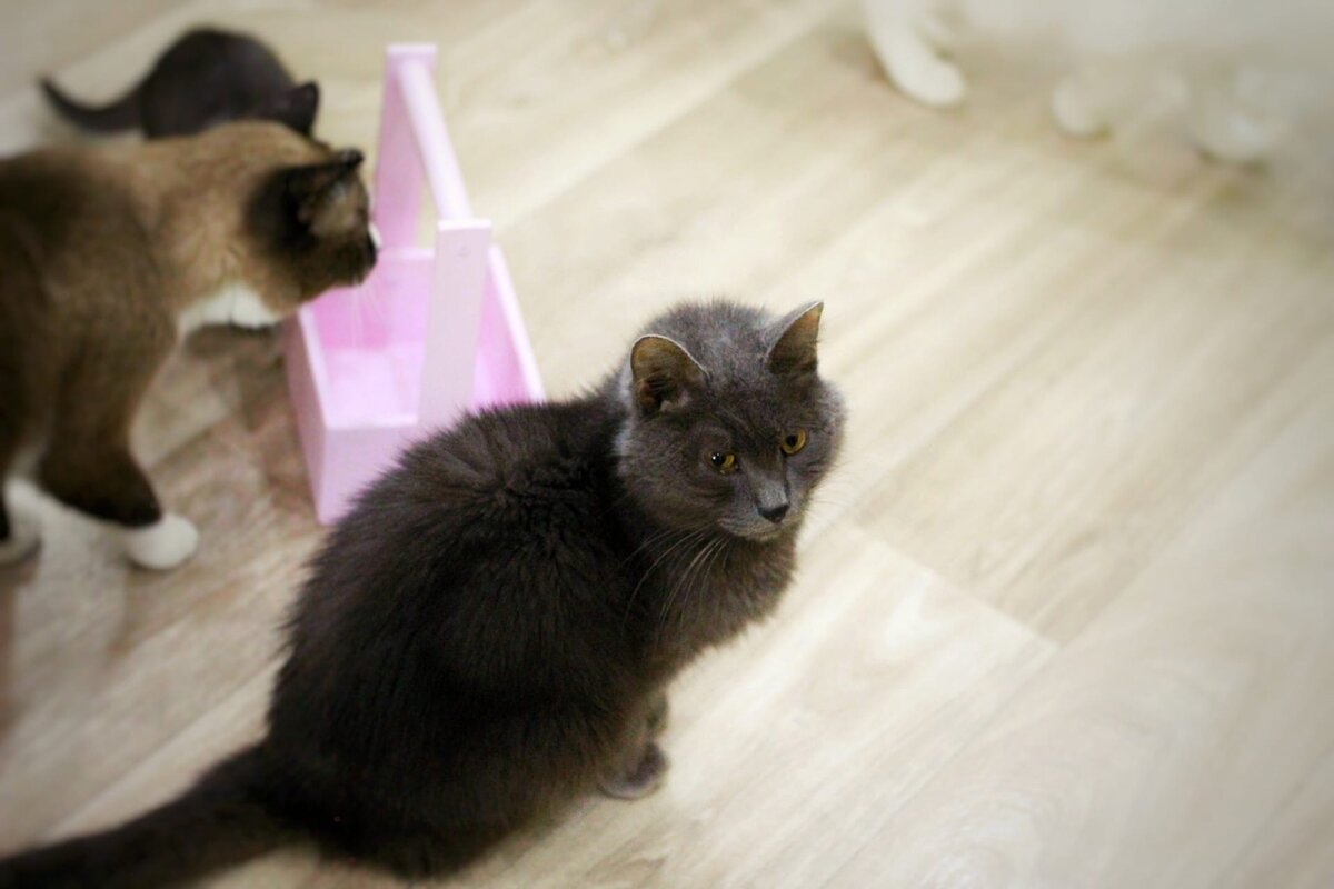 Веня сейчас