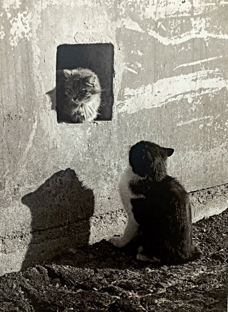 Безответная любовь