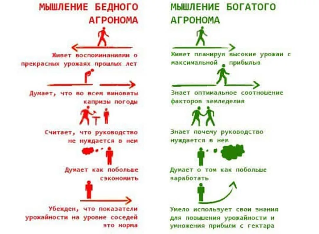 Обогащу или обогощу. Мышление богатого и бедного. Мышление бедного богатого и бедного. Мышление богатого человека. Мышление бедного мышление богатого.