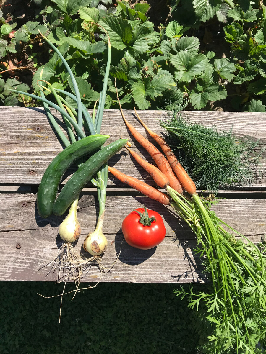 Фото из личного архива. Лето 2021