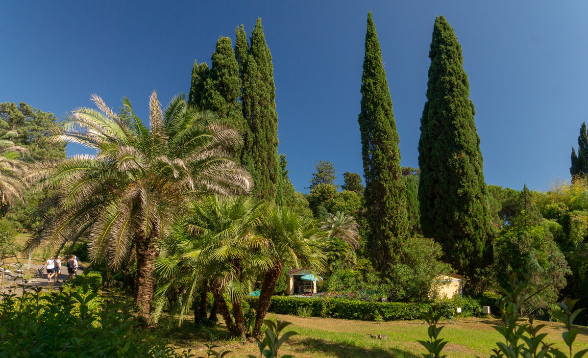 Сочинский Дендрарий