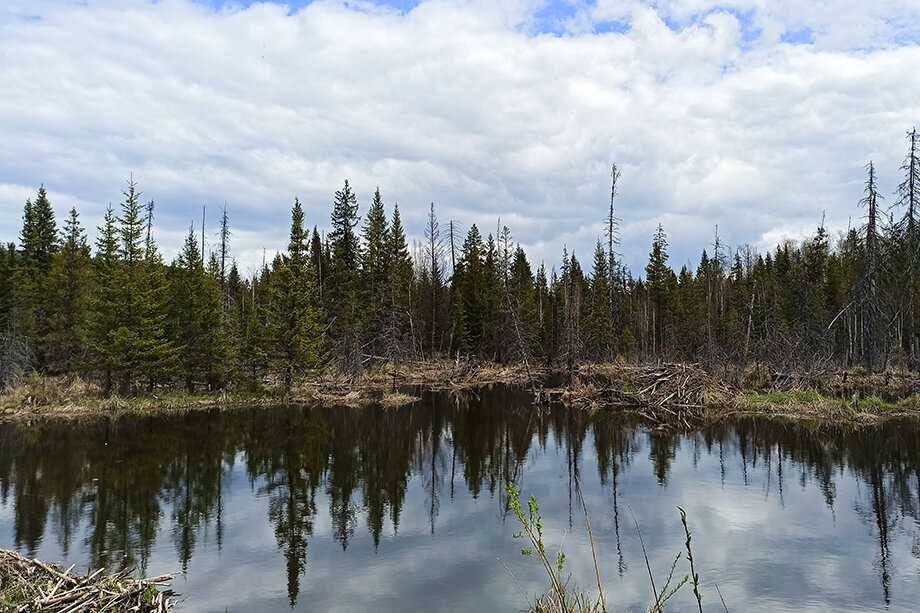 Виды Висимского заповедника. Фото: Владимир Белкин/Octagon.Media