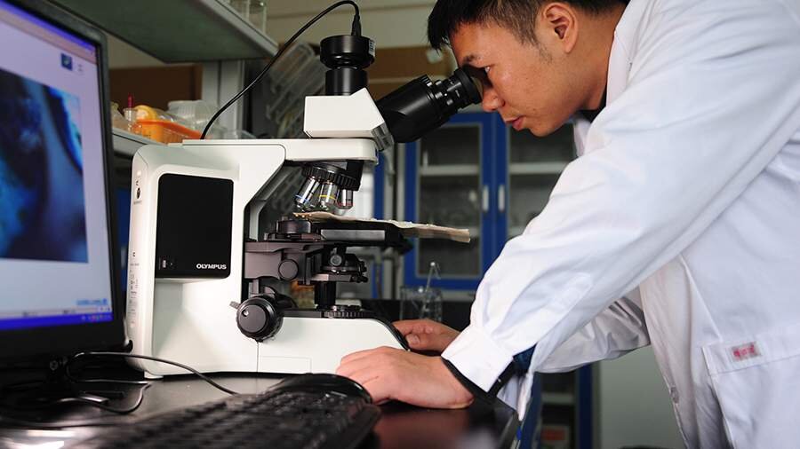 Фото: Global Look Press/Liliang Guo