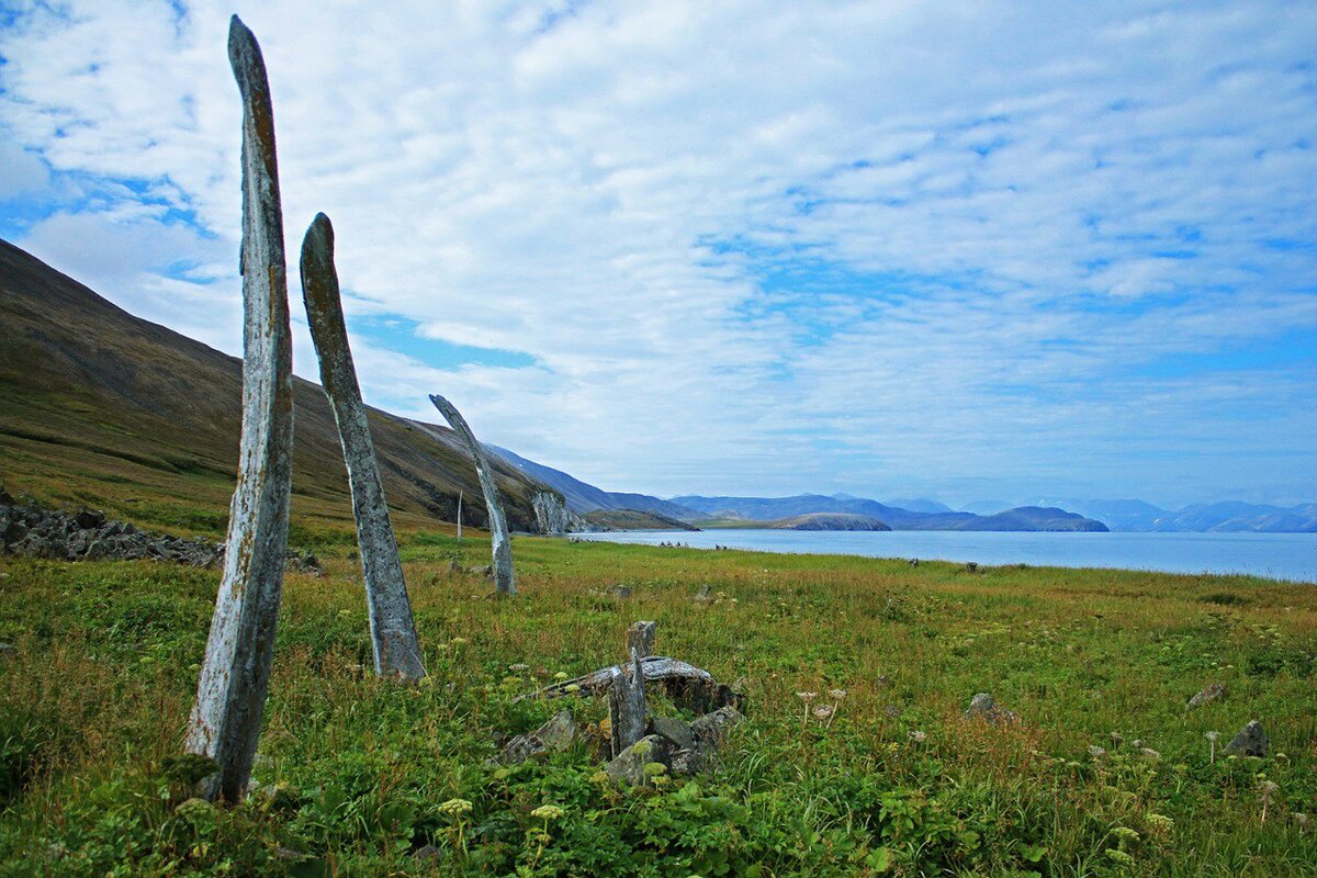 Фото с сайта: https://park-beringia.ru/whale 