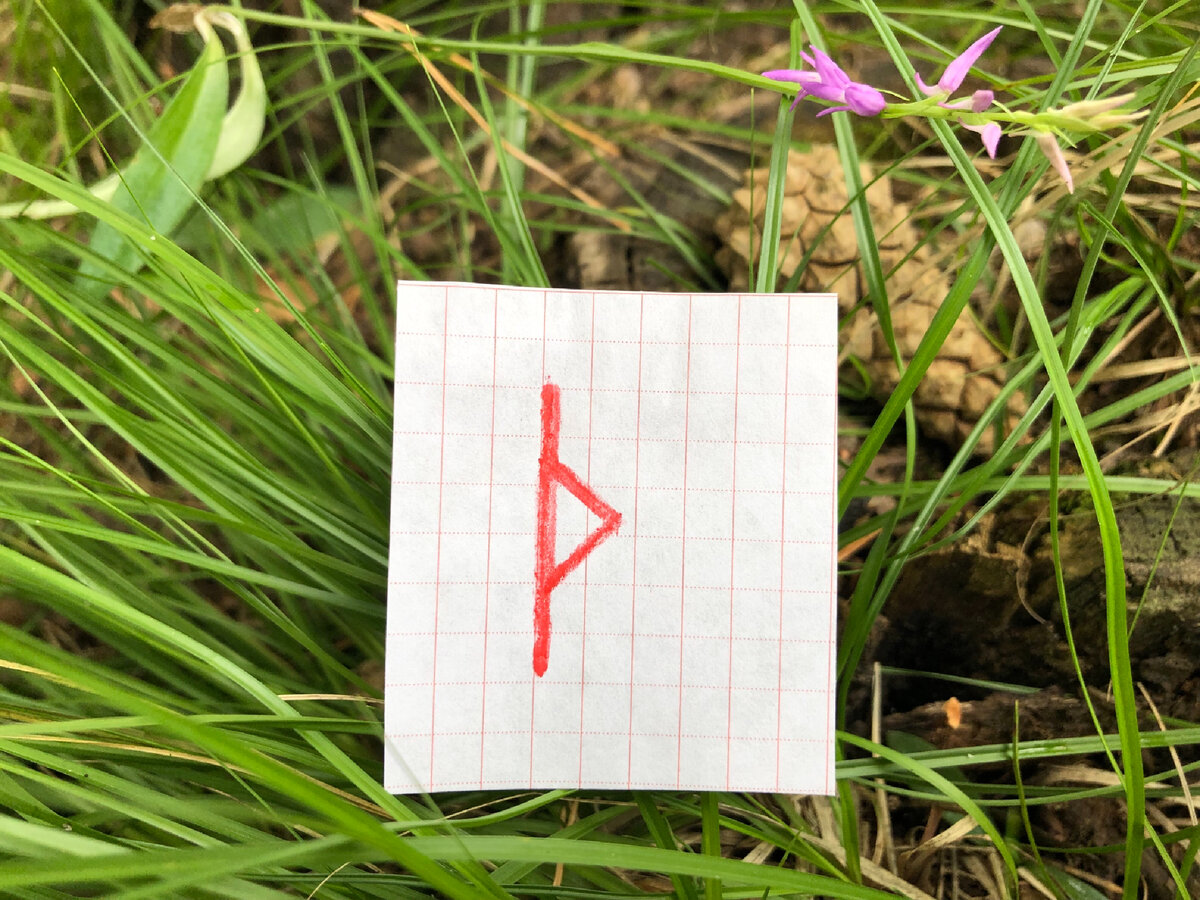 Руна Турисаз