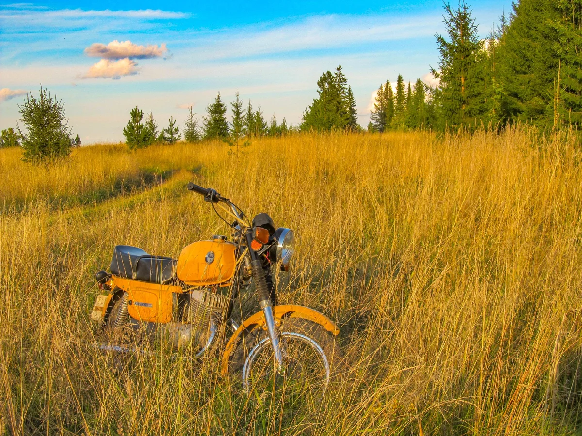 Стеснительный "Восход" затаился в траве