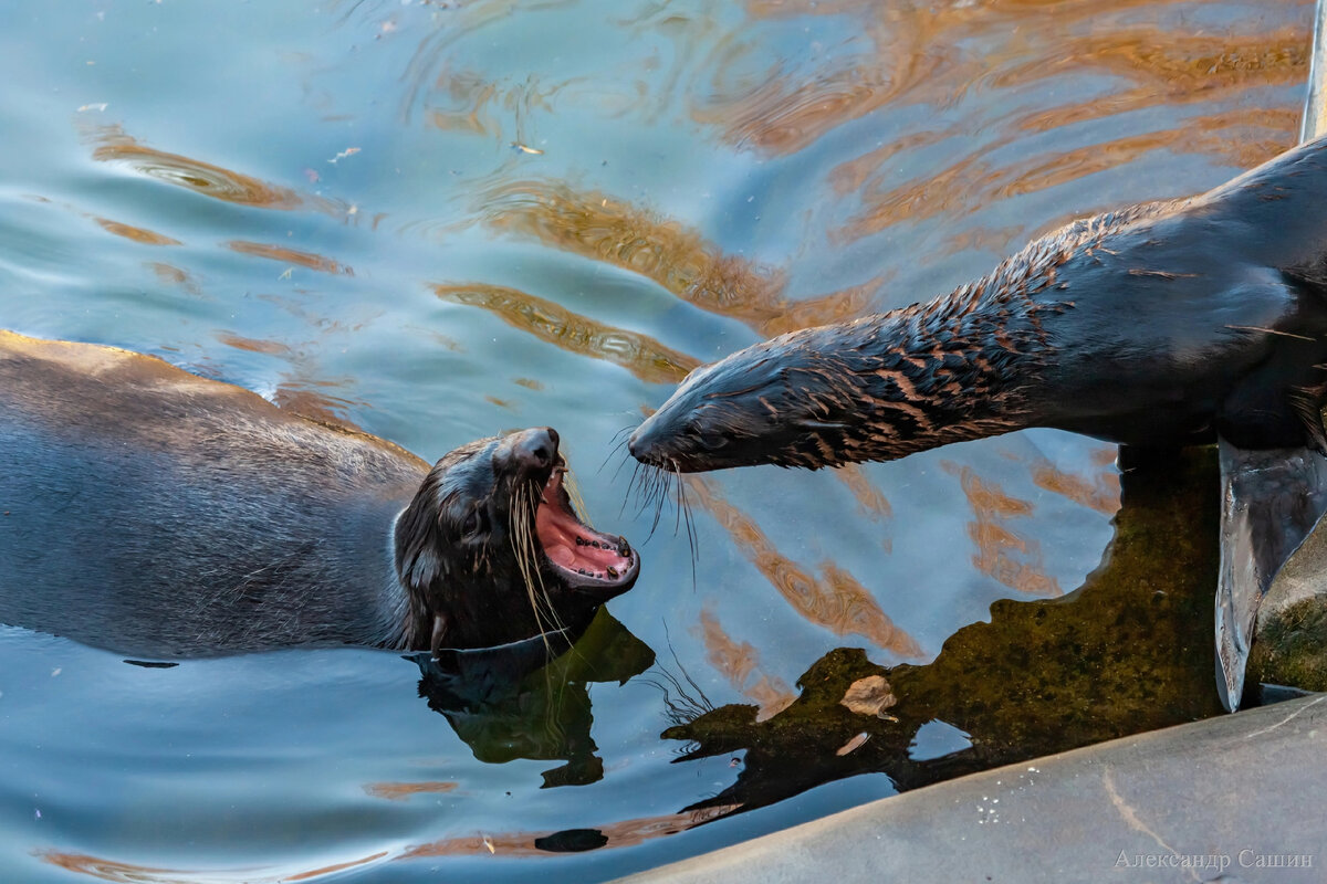 Прием у стоматолога