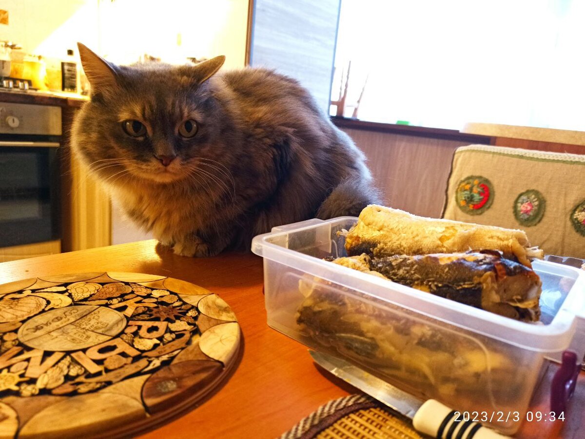 Маняха ноль внимания на рыбу, она выясняет свои права.