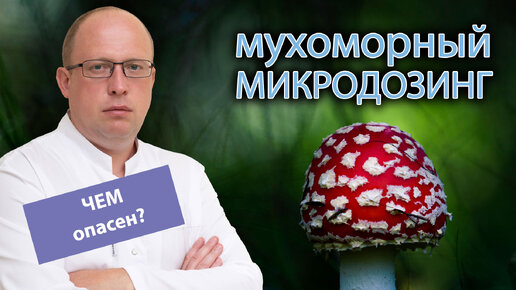 🍄 Мухоморный микродозинг - чем опасен 💀