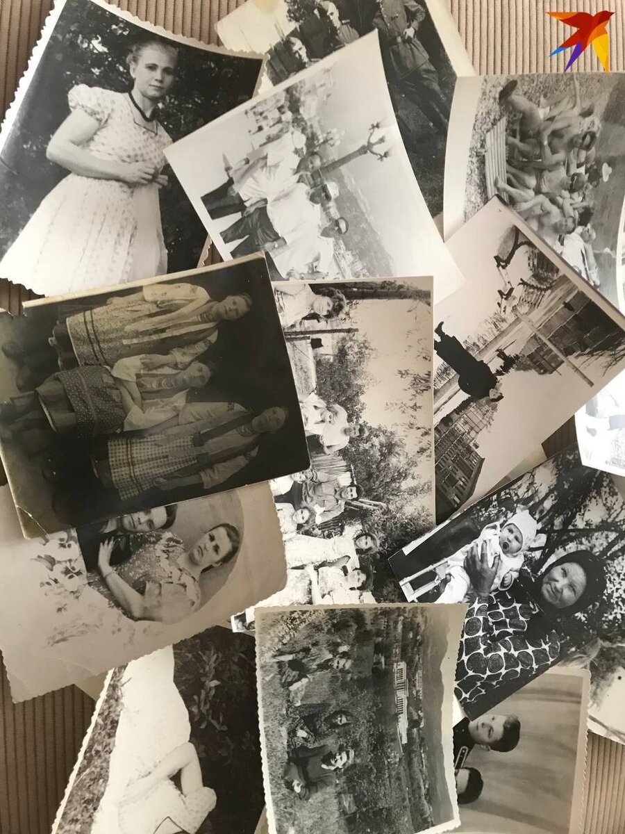    Генеалогическое древо, а не только фотографии, хорошо бы иметь в каждой семье. Фото: архив "КП".