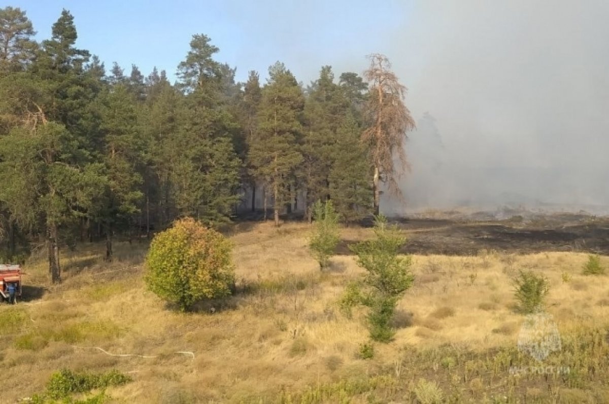    Потушен пожар в Новобуянском лесничестве в Ставропольском районе