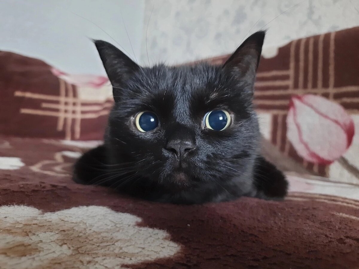 Фото с просторов 