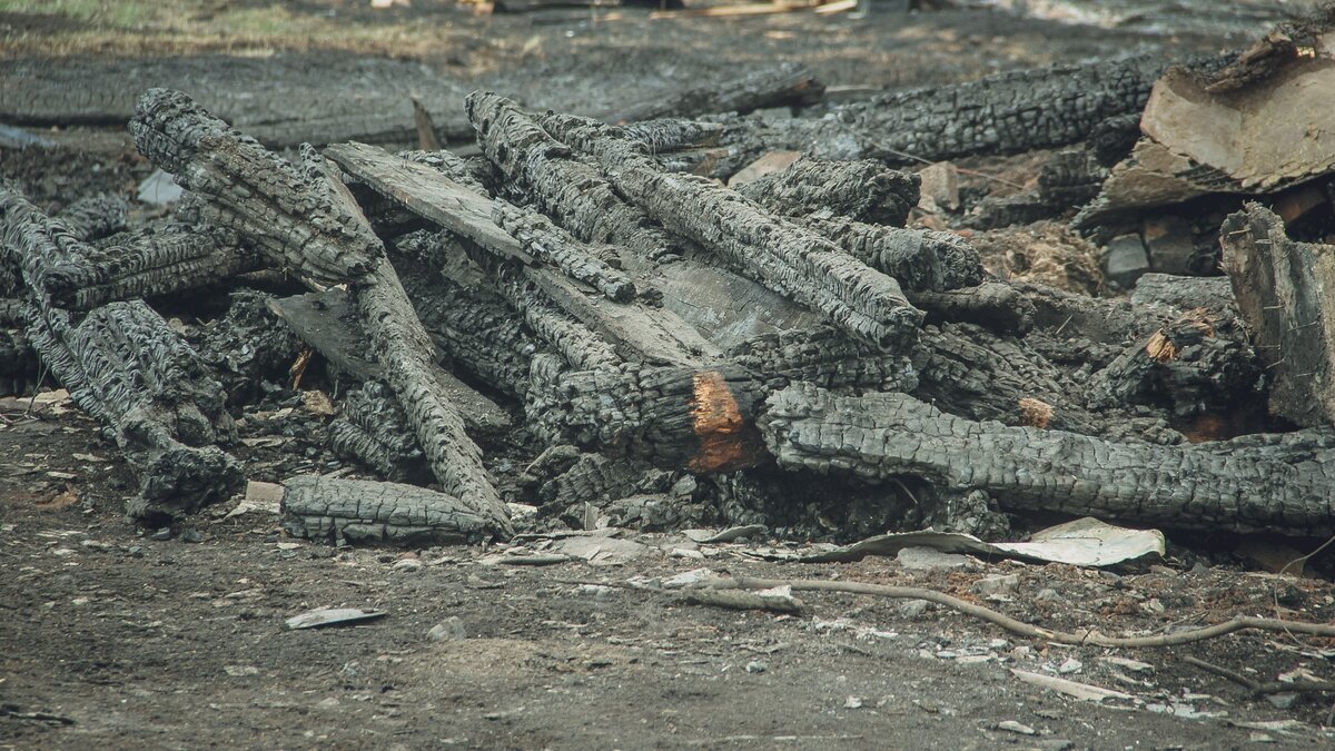     Хозяин сгоревшего на пляже под Петрозаводском ресторана назвал причину возгорания, об этом сообщает одно из местных изданий.