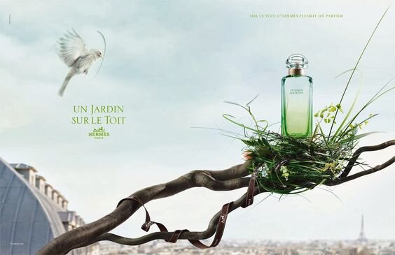 Трава, красное яблоко, розмарин, груша, магнолия