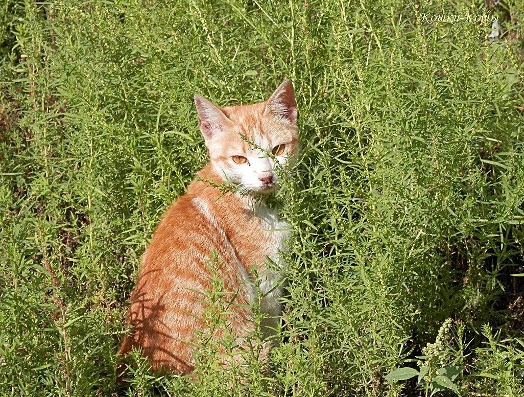 На этом фоне моя красота еще ярче. 