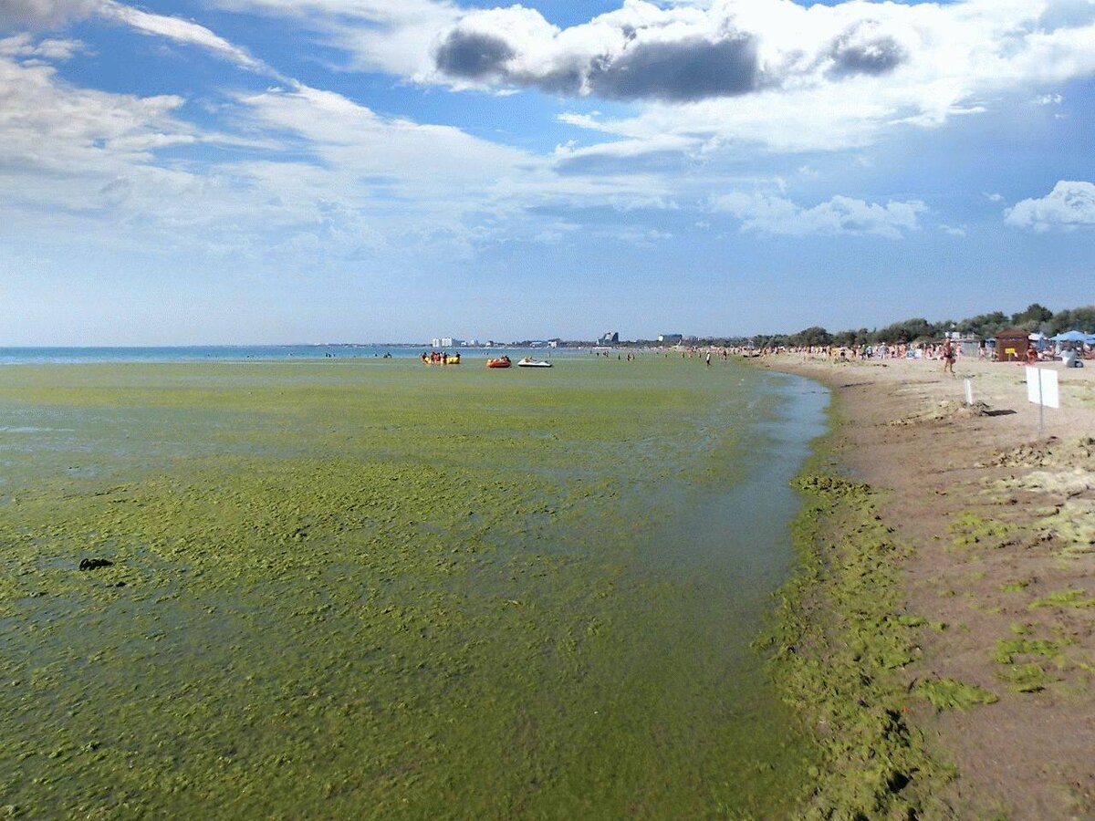 2. На 2-ом месте город-курорт Геленджик. В море сливается канализация. Каждый рискует заразиться кишечной палочкой. К этому всему, в Геленджике цены абсолютно на все грабительские!!! Приезжая сюда, подумайте, нужен ли вам такой "прекрасный" отдых?! 
3. Закрывает нашу тройку лидеров - поселок Витязево. Море грязное почти весь курортный сезон. Медузы так и норовят вас ужалить, а водоросли станут вам "верными друзьями" весь ваш отдых. Цены заоблачные, в принципе как и во многих городах-курортах.