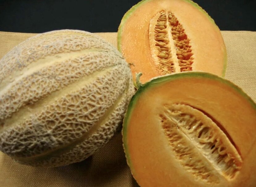 Дыня канталупа- сладкая, яркая, экзотическая красавица. 