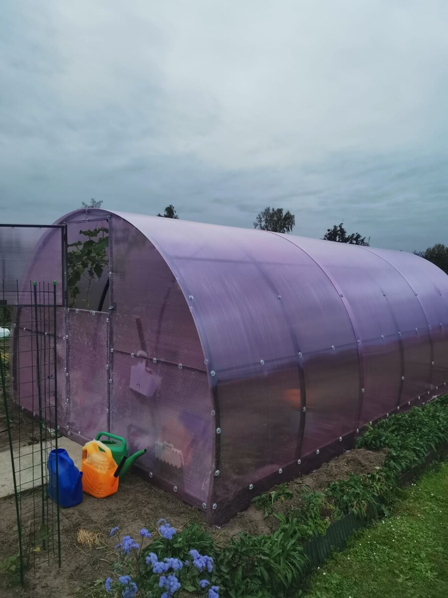 Моя новая теплица.