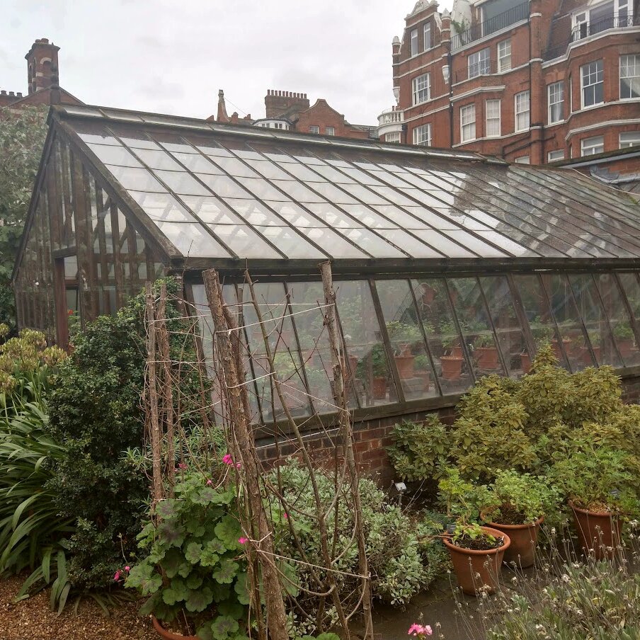 Одна из теплиц Chelsea Physic Garden
