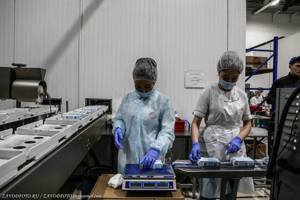 Где делают союзу. Где делают. где делают олонецкую продукцию.