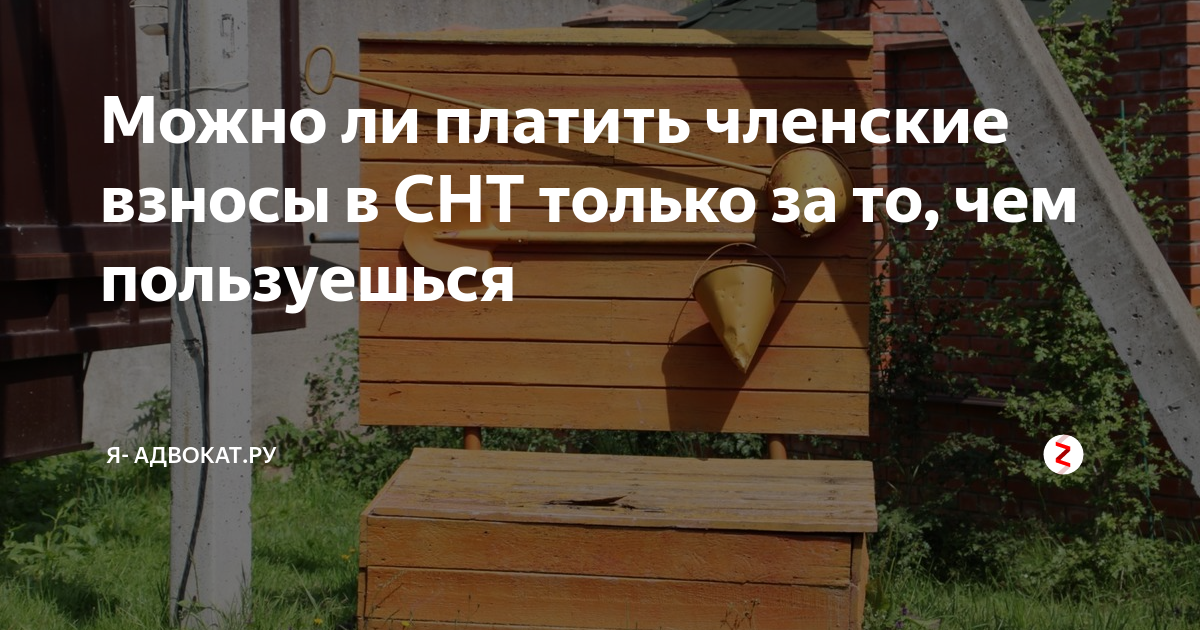 Взносы в снт в 2024 году. Членские взносы в СНТ. Заплати взносы в СНТ. Должники СНТ. Оплата членских взносов в СНТ.