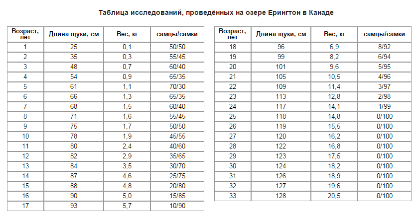 Сколько лет щуке 3 кг. Длина щуки и вес таблица. Вес щуки по длине таблица. Длина щуки и вес. Вес и Возраст щуки таблица