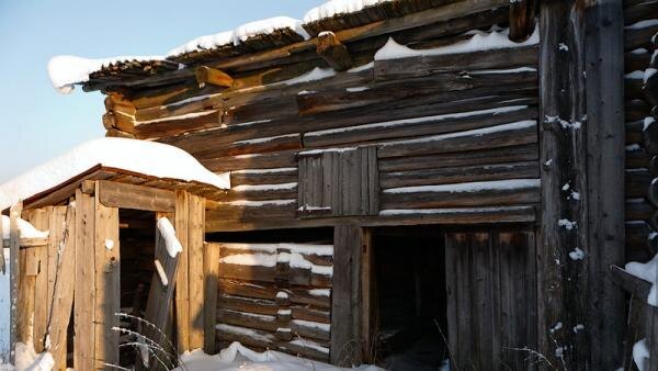 В этом хлеву ютилась жертва вологжанина.