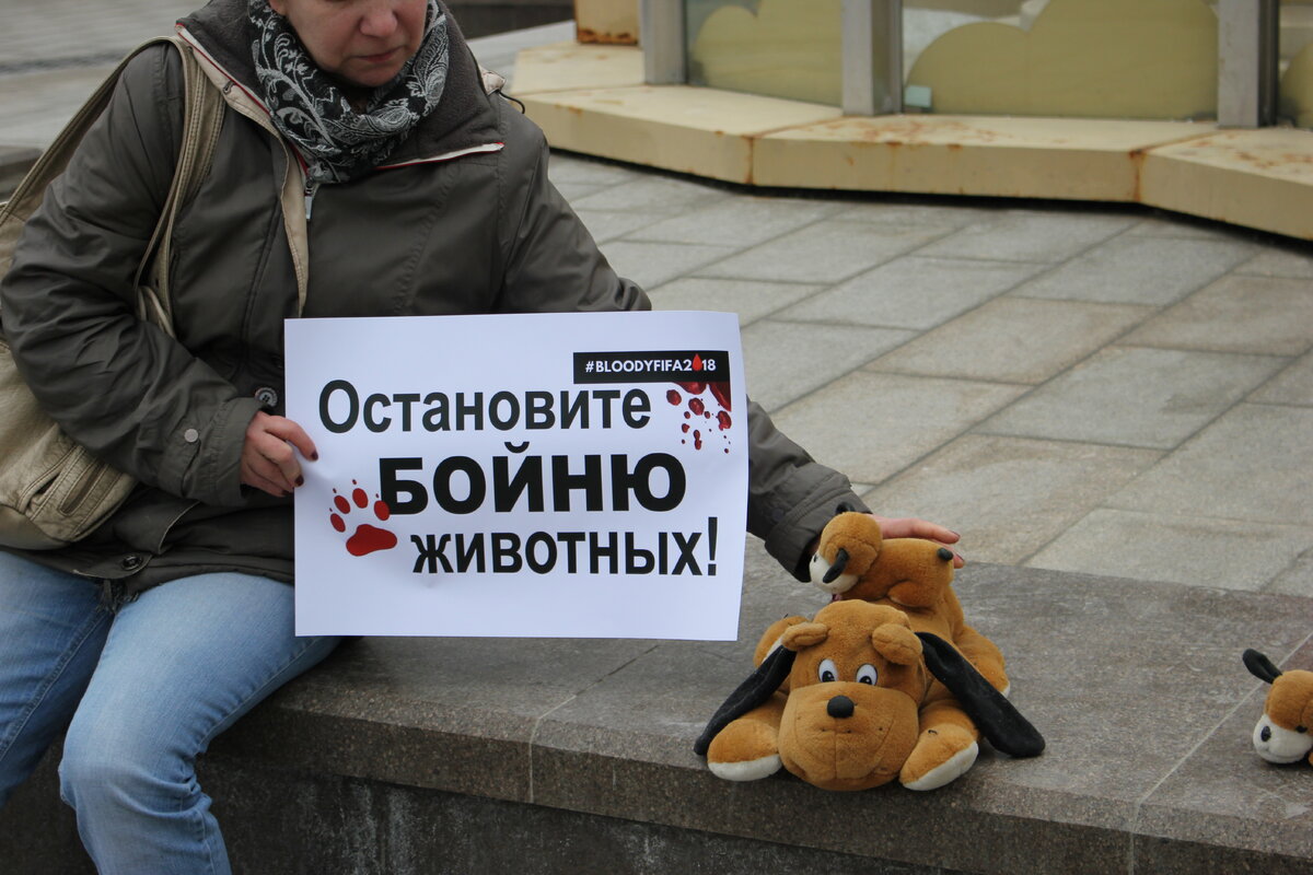 Против убийств животных. Против убийств животных