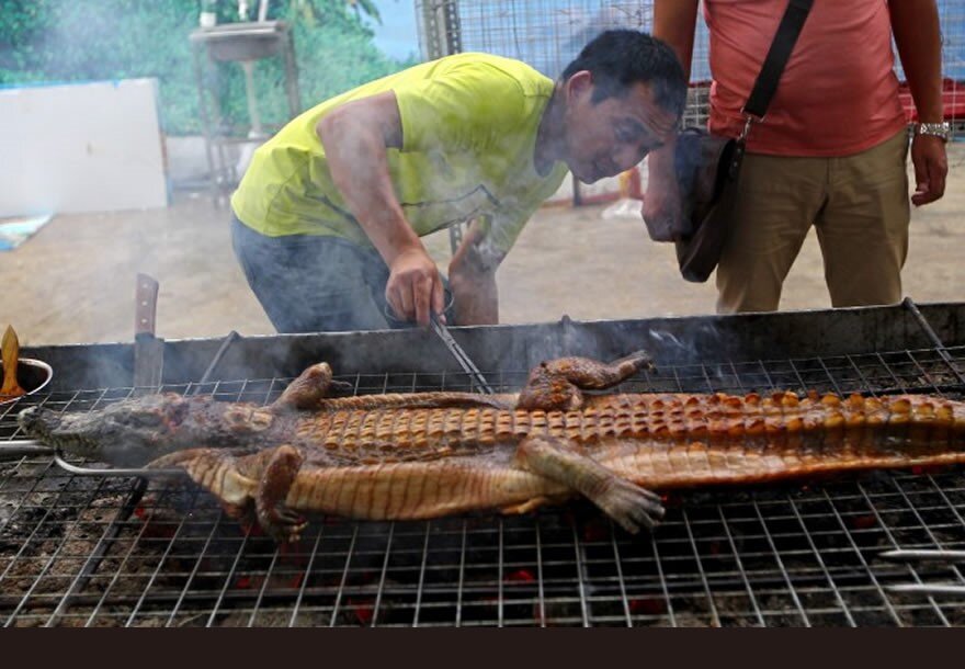 Мясо крокодила на решетке