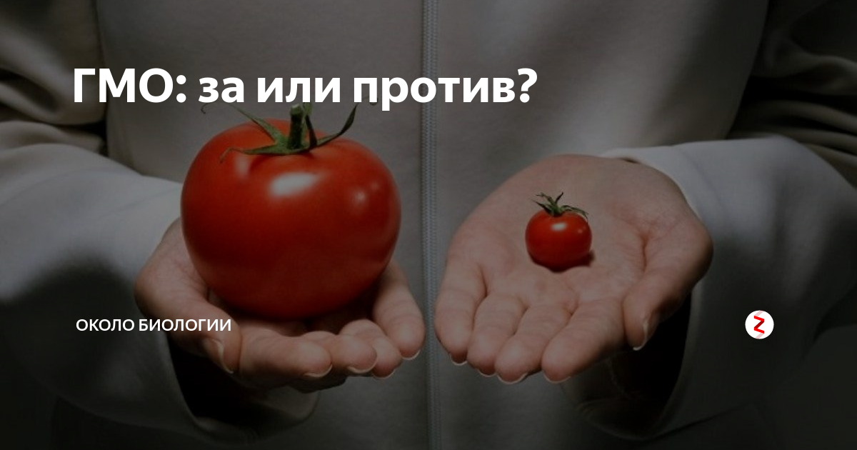 За и против использования трансгенных продуктов. Плюсы ГМО. Плюсы и минусы ГМО. ГМО за и против. За ГМО.