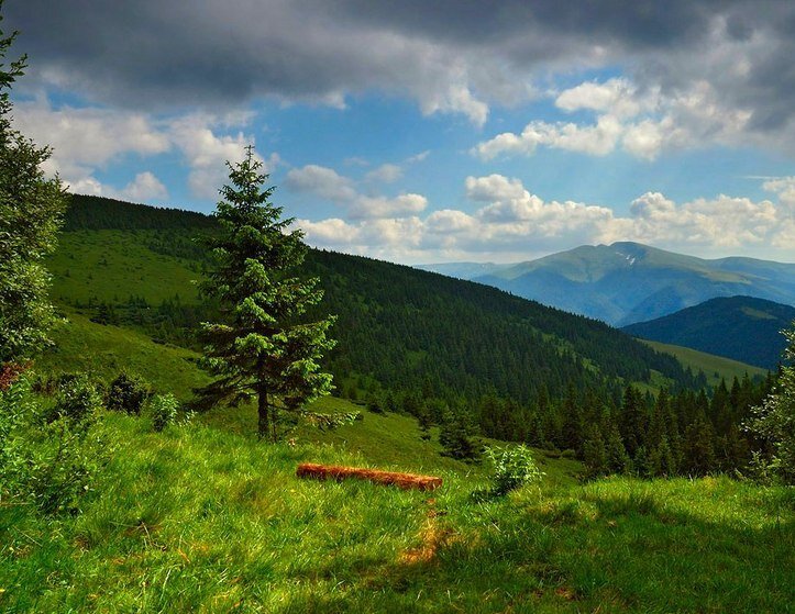 Карпаты путыла