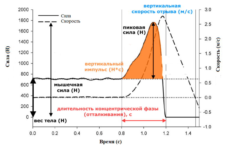 Диаграмма силы стендов