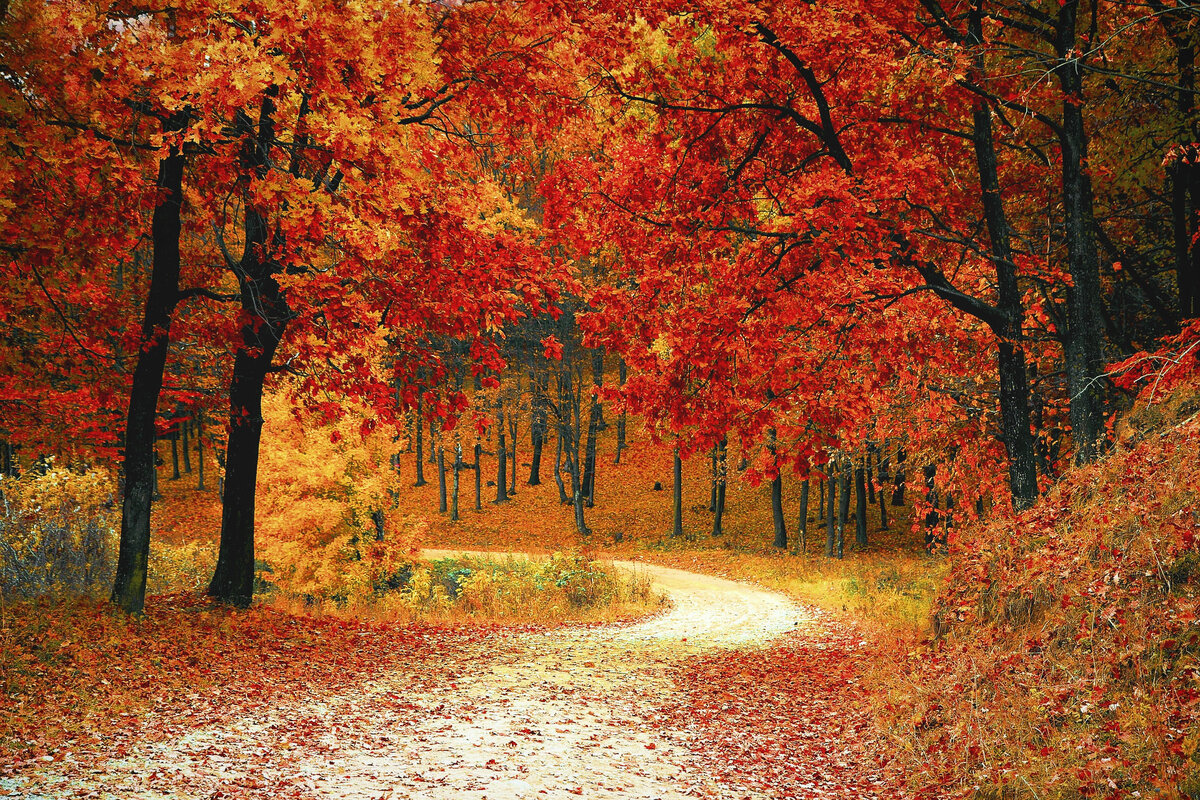 Осень, например