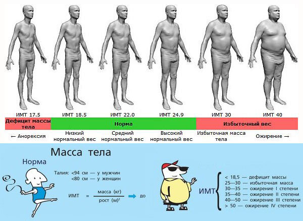 ИМТ. Анорексия ИМТ. ИМТ норма. Таблица массы тела и роста.