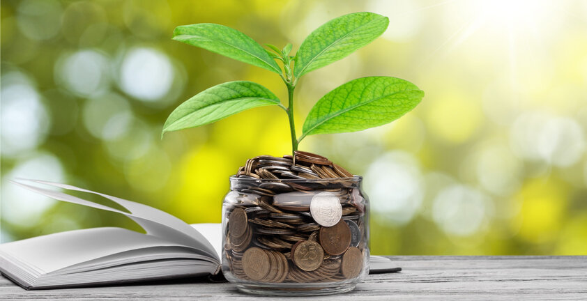 Владимир Куц, психолог, тренер
