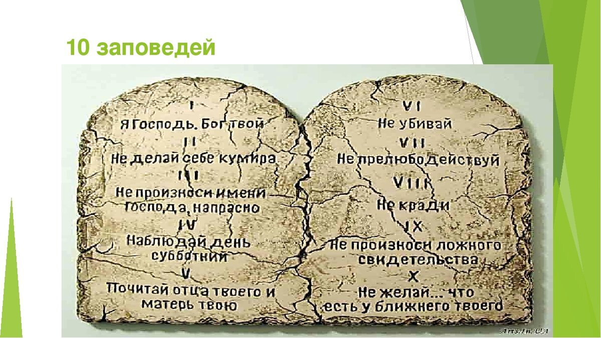 Фото - социальные сети 