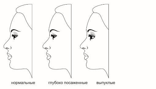 Схема наращивания ресниц для близко посаженных глаз