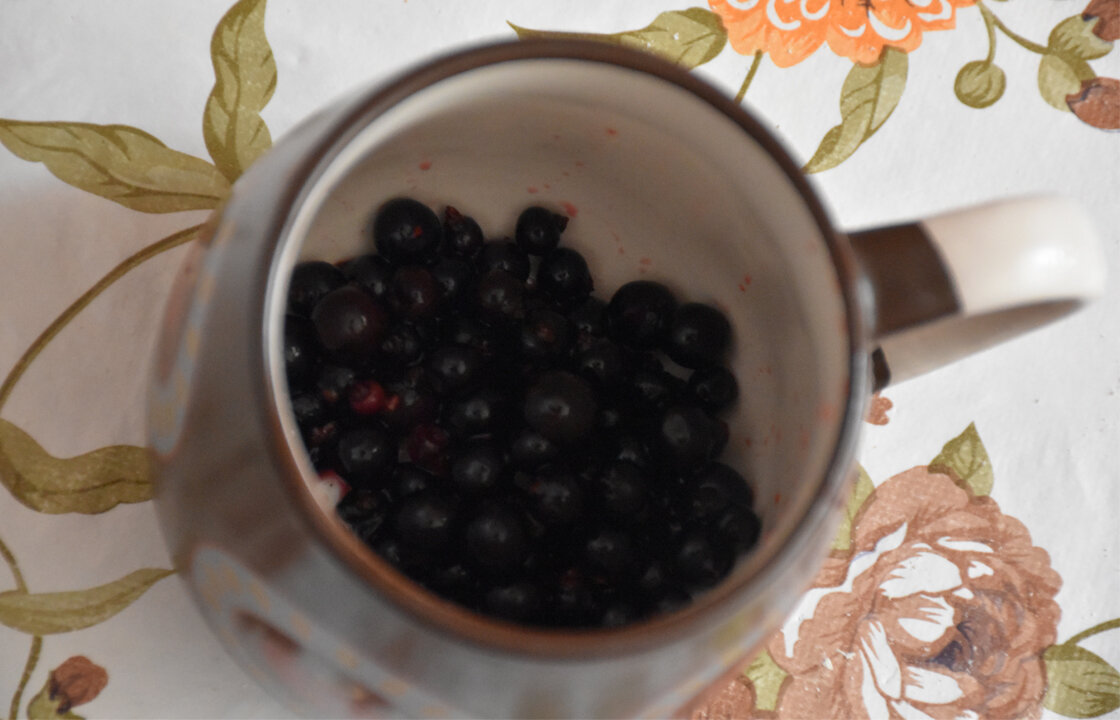 Чёрная смородина в чашке